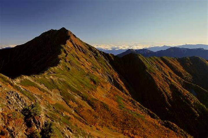 Nova, 31 — Escort in Minami-Alps, Japan