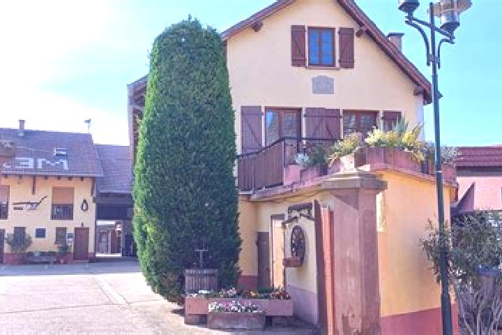 Nova, 31 — Escort in Oberschaeffolsheim, France
