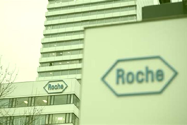 Nova, 31 — Escort in Roche, Switzerland