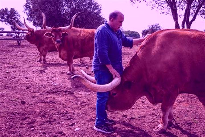 Nova, 31 — Escort in Santa Elena de Jamuz, Spain