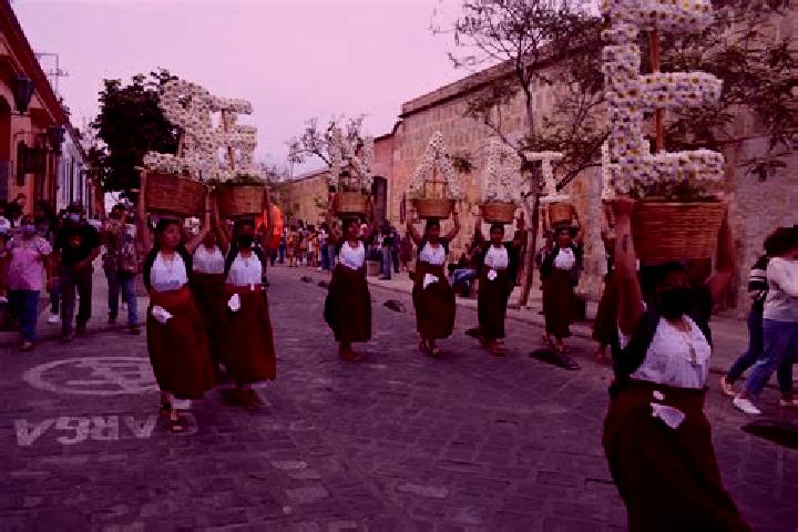 Nova, 31 — Escort in Santa Maria Guelace, Mexico