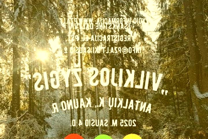 Nova, 31 — Escort in Vilkija, Lithuania