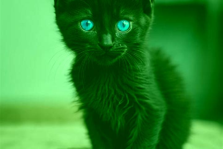 Nova, 32, a black blue-eyed caribbean companion based in Cuendo. Offering Fetish, GFE, Duos, Roleplay. Available for incall and outcall, overnight bookings a...