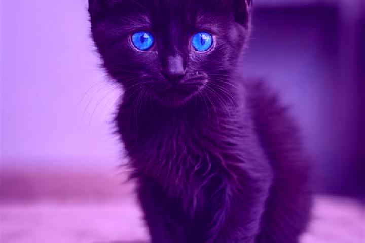 Nova, 32, a black blue-eyed mediterranean companion based in Ferriere-la-Grande. Offering Couples, Massage, Domination. Available for incall and outcall, day...