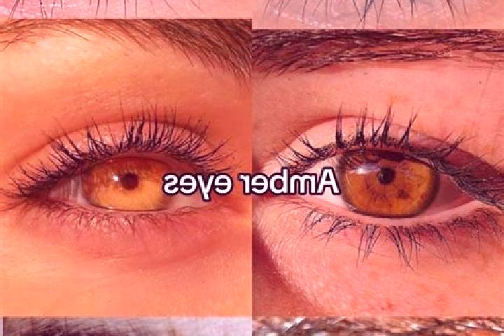 Nova, 32, a chestnut amber-eyed mixed companion based in Toses. Offering Deep French Kissing, Massage, Girlfriend Experience, OWO. Available for incall and o...
