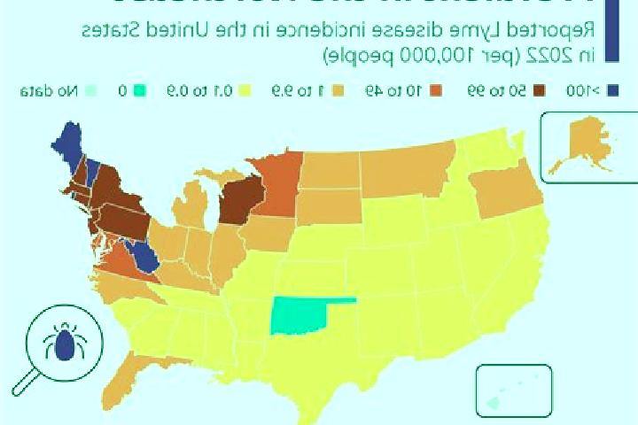 Nova, 32 — Escort in Lindenhurst, United States