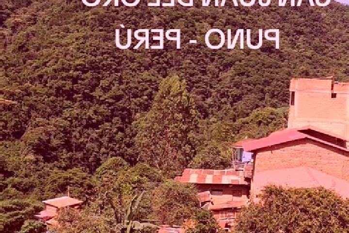 Nova, 32 — Escort in San Juan del Oro, Peru