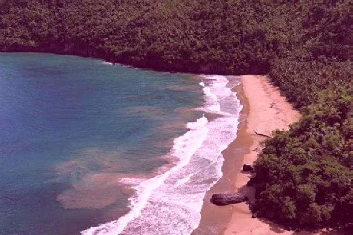 Nova, 34 — Escort in El Valle, Dominican Republic