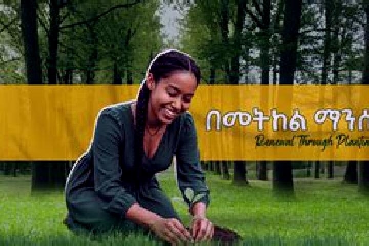 Nova, 34 — Escort in Hirna, Ethiopia