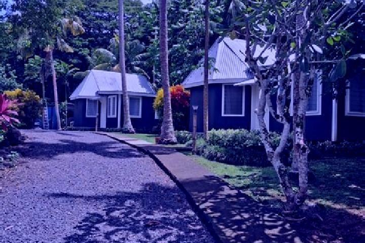 Nova, 34 — Escort in Mulifanua, Samoa