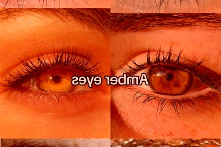 Nova, 35, a chestnut amber-eyed european companion based in Immekath. Offering Couples, Overnight, 69. Available for incall and outcall, day and evening dates.