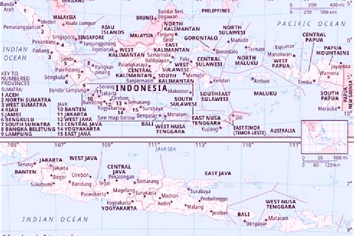 Nova, 35 — Escort in Ciroyom, Indonesia