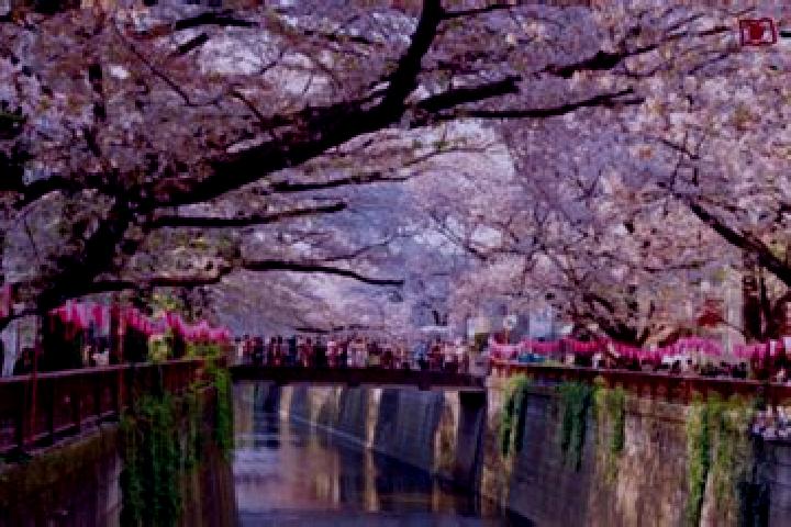 Nova, 35 — Escort in Itogawa, Japan