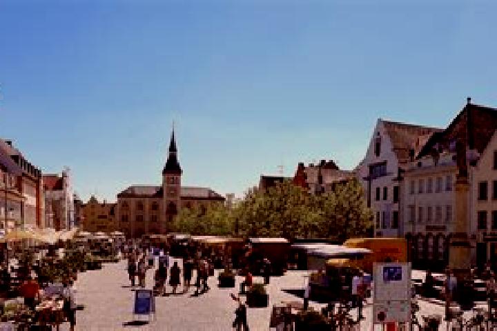 Nova, 35 — Escort in Pfaffenhofen an der Ilm, Germany