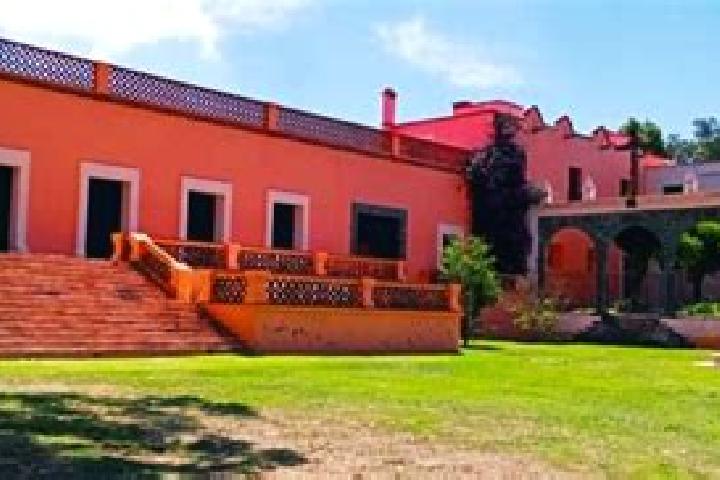 Nova, 35 — Escort in San Antonio de los Tepetates, Mexico