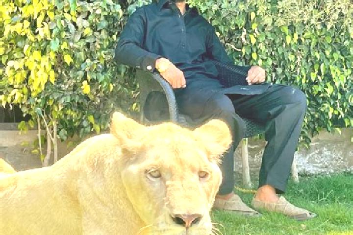 Nova, 35 — Escort in Sehnsa, Pakistan