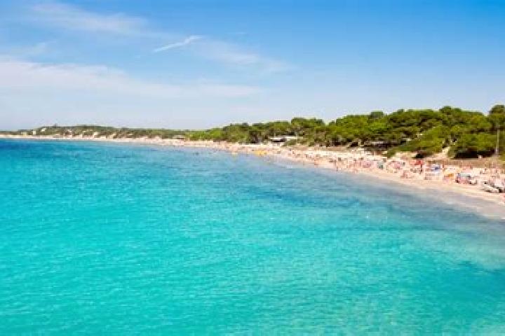 Nova, 35 — Escort in Ses Salines, Spain
