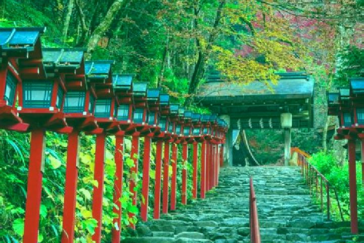 Nova, 35 — Escort in Takashima, Japan