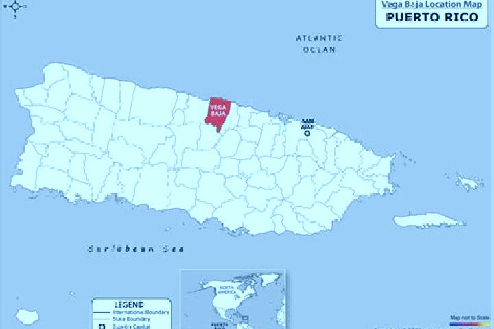 Nova, 35 — Escort in Vega Baja, Puerto Rico