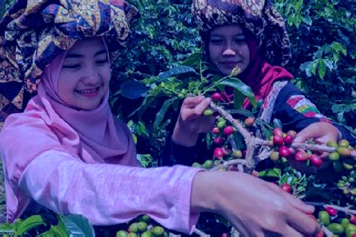 Nova, 36 — Escort in Bean, Indonesia