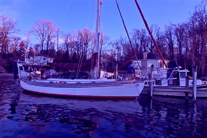 Nova, 36 — Escort in Herald Harbor, United States