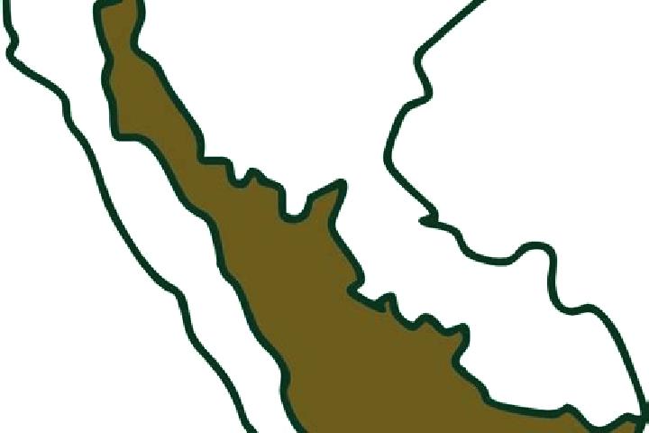 Nova, 36 — Escort in Jamalca, Peru