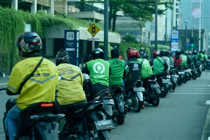 Nova, 36 — Escort in Pengkolan, Indonesia