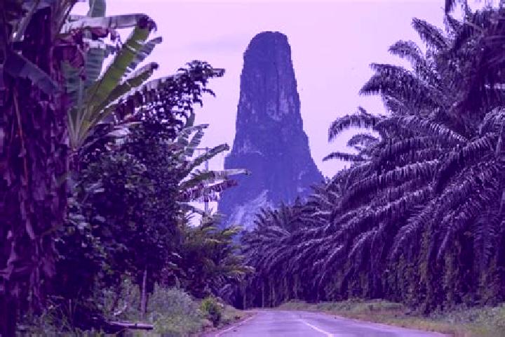 Nova, 36 — Escort in Pete-Pete, Sao Tome and Principe
