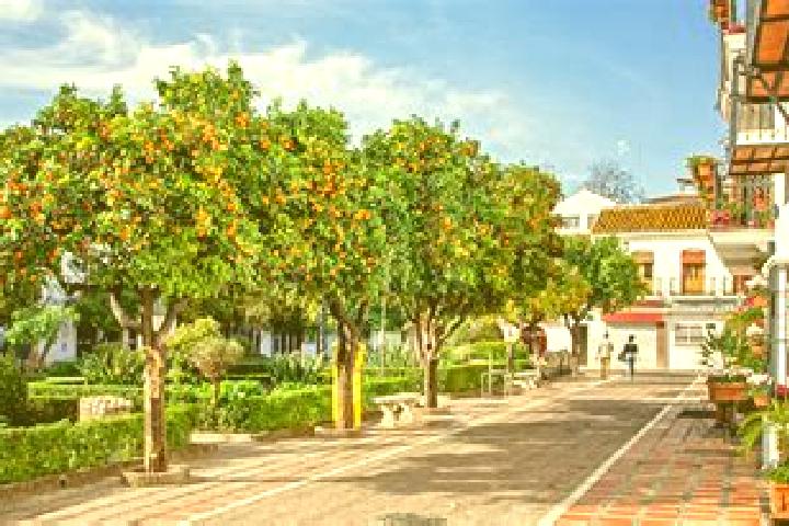 Nova, 36 — Escort in San Pedro de los Naranjos, Mexico