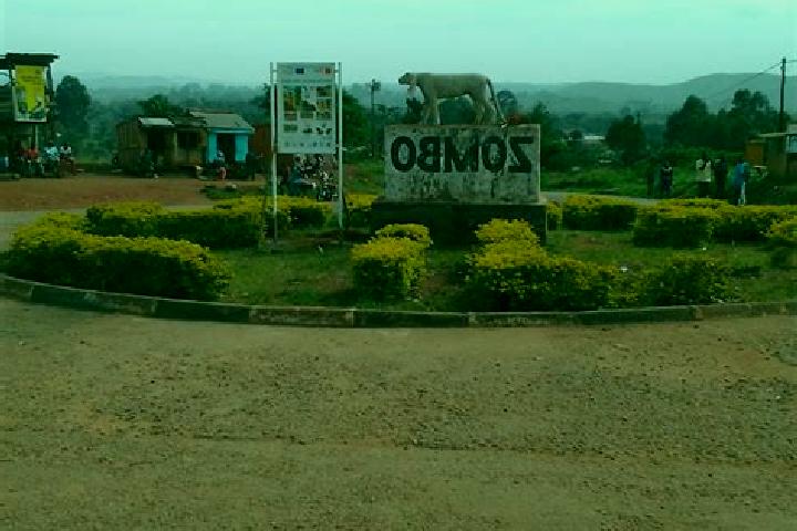 Nova, 36 — Escort in Zombo, Uganda