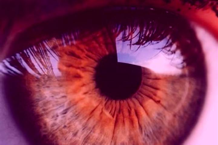 Nova, 37, a dark blonde hazel-eyed mediterranean companion based in Ouanani. Offering A-Level, OWO, Girlfriend Experience. Available for incall and outcall, ...