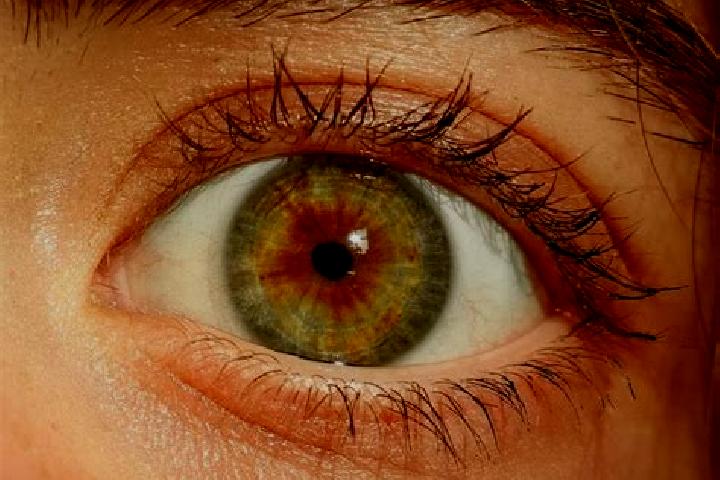 Nova, 37, a red hazel-eyed caribbean companion based in Bad Laer. Offering OWO, Tantra. Available for incall and outcall, overnight bookings available.