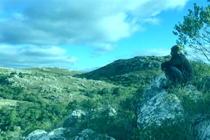 Nova, 37 — Escort in Aigua, Uruguay
