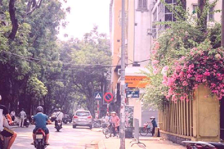 Nova, 37 — Escort in Ba Dinh, Vietnam