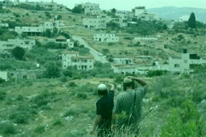 Nova, 37 — Escort in Kokhav Ya aqov, Palestine