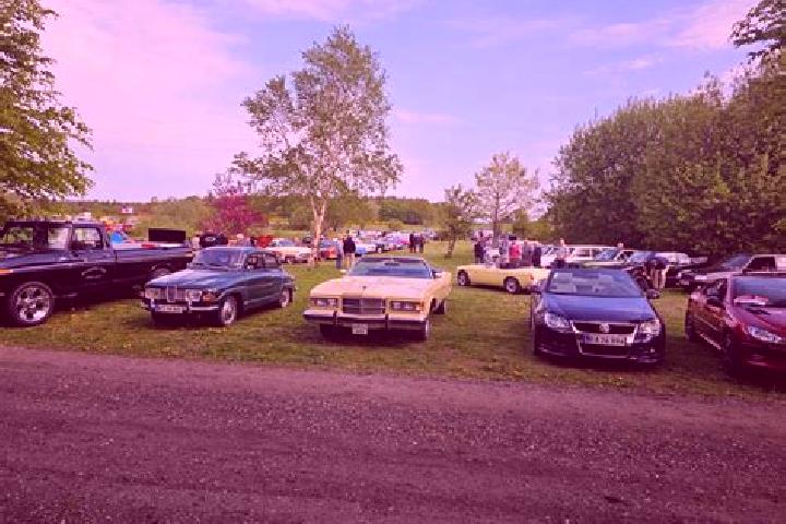Nova, 37 — Escort in Rodding, Denmark
