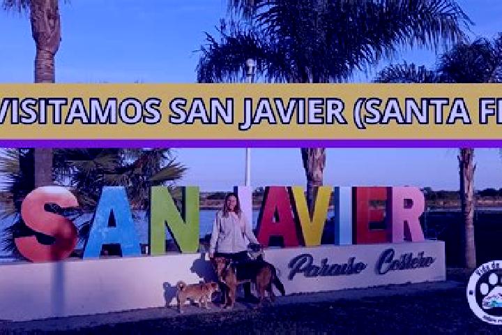 Nova, 37 — Escort in San Javier, Argentina