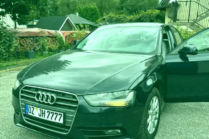 Nova, 37 — Escort in Stoczek, Poland