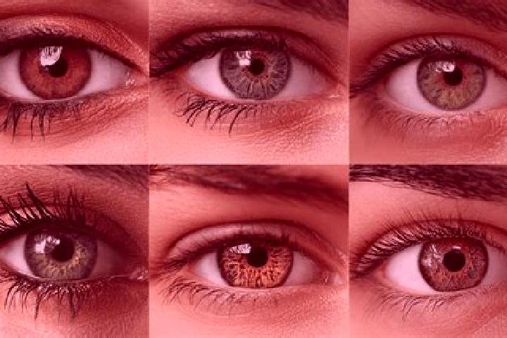 Nova, 38, a red hazel-eyed middle eastern companion based in Laytown. Offering Couples, Tantra, Massage. Available for incall and outcall, day and evening da...
