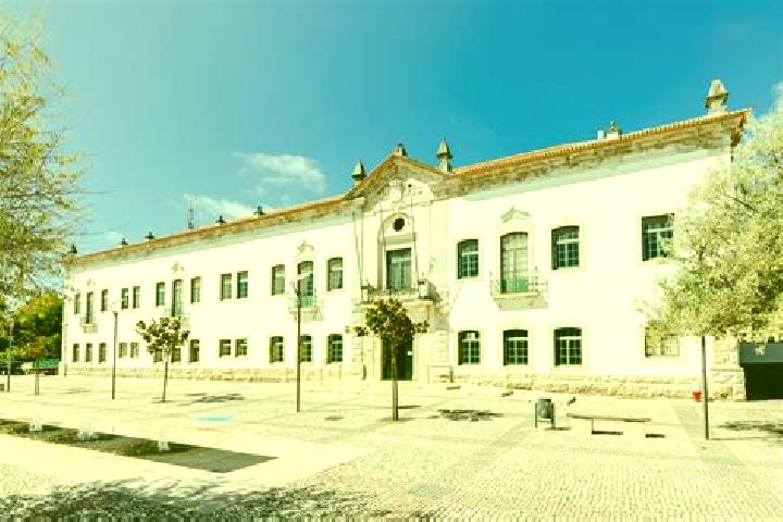 Nova, 38 — Escort in Carregal do Sal, Portugal