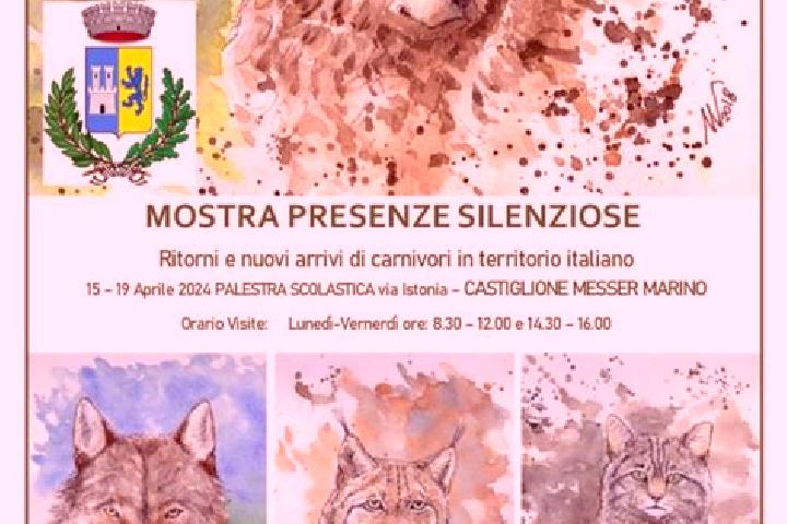 Nova, 38 — Escort in Castiglione Messer Marino, Italy