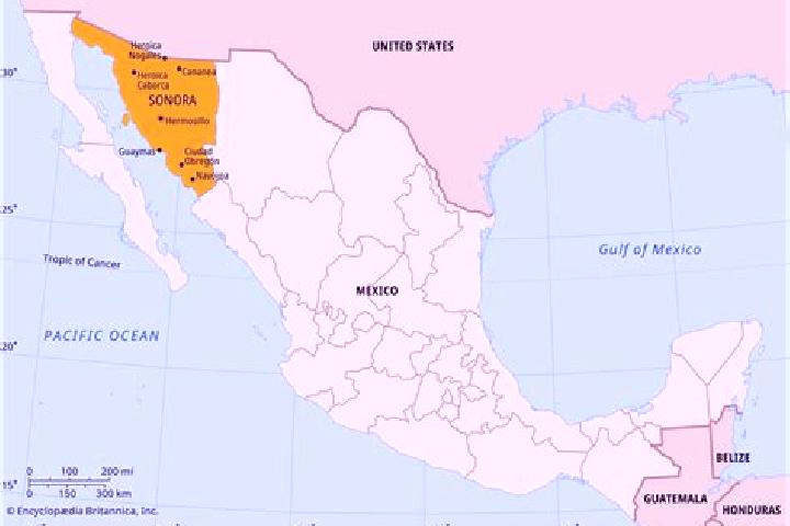 Nova, 38 — Escort in Norias del Refugio, Mexico