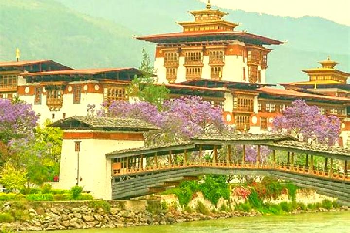 Nova, 38 — Escort in Punakha, Bhutan