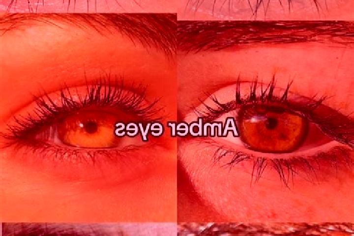 Nova, 39, a brunette amber-eyed middle eastern companion based in Childersburg. Offering Travel Companion, Duos, Overnight, Massage. Available for incall and...