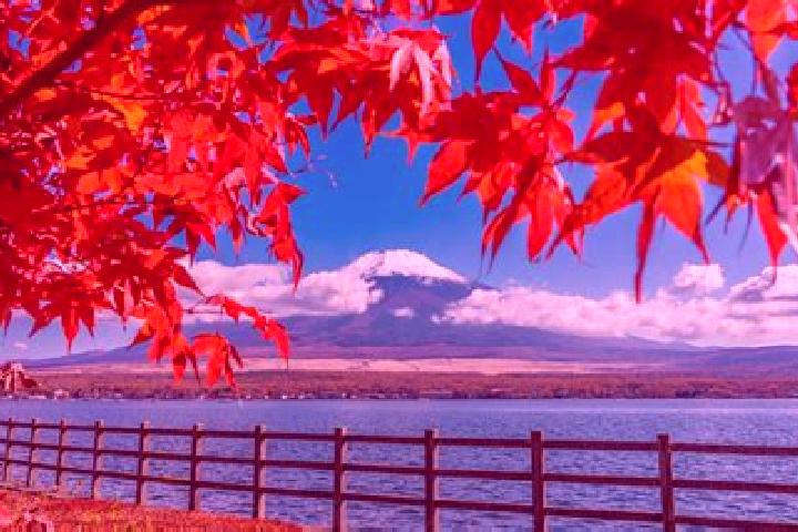 Nova, 39 — Escort in Aira, Japan