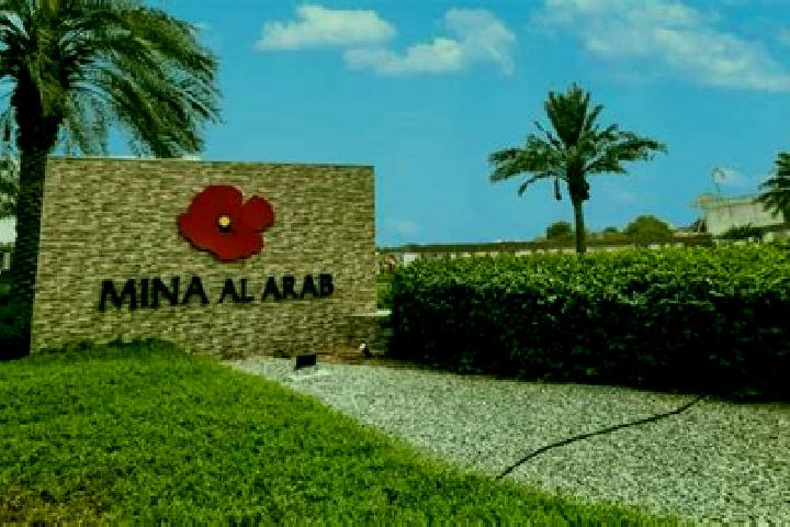 Nova, 39 — Escort in Al Judayyidah, Palestine