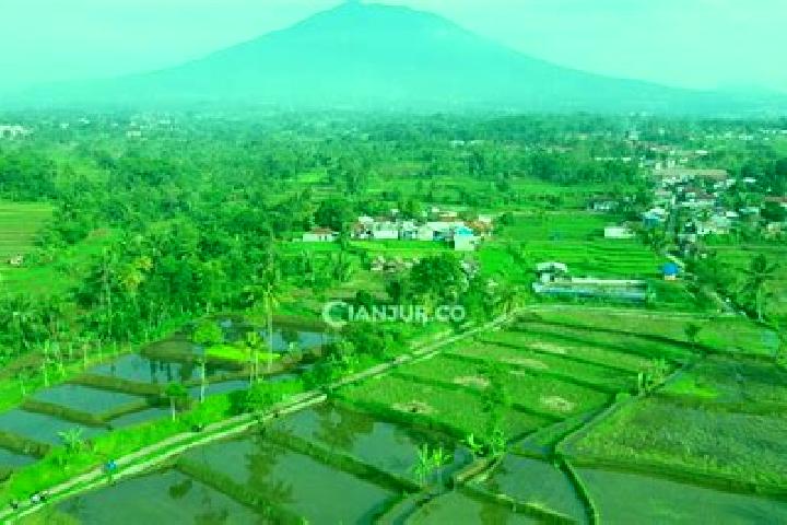 Nova, 39 — Escort in Desa Sukajadi, Indonesia