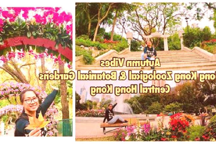 Nova, 39 — Escort in Healthy Gardens, Hong Kong