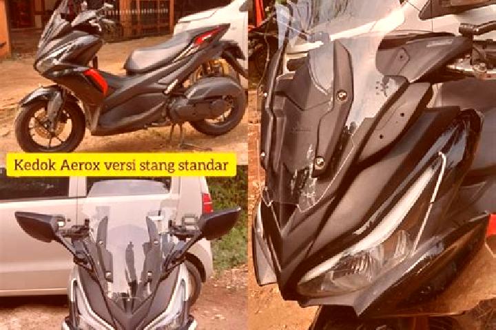 Nova, 39 — Escort in Kedok, Indonesia