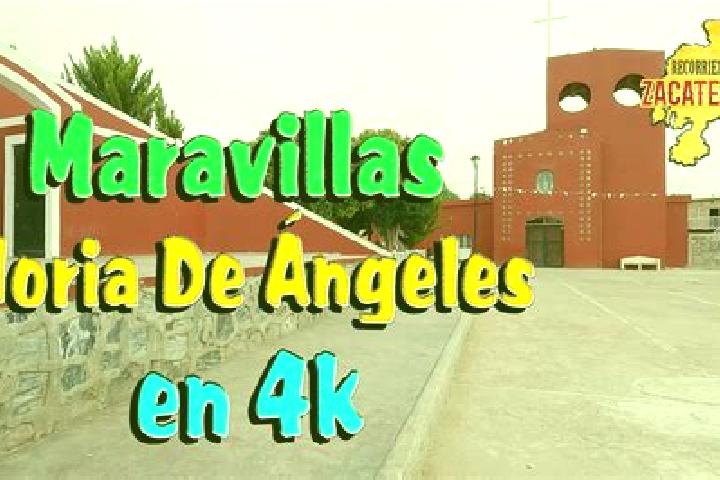 Nova, 39 — Escort in Noria de Angeles, Mexico